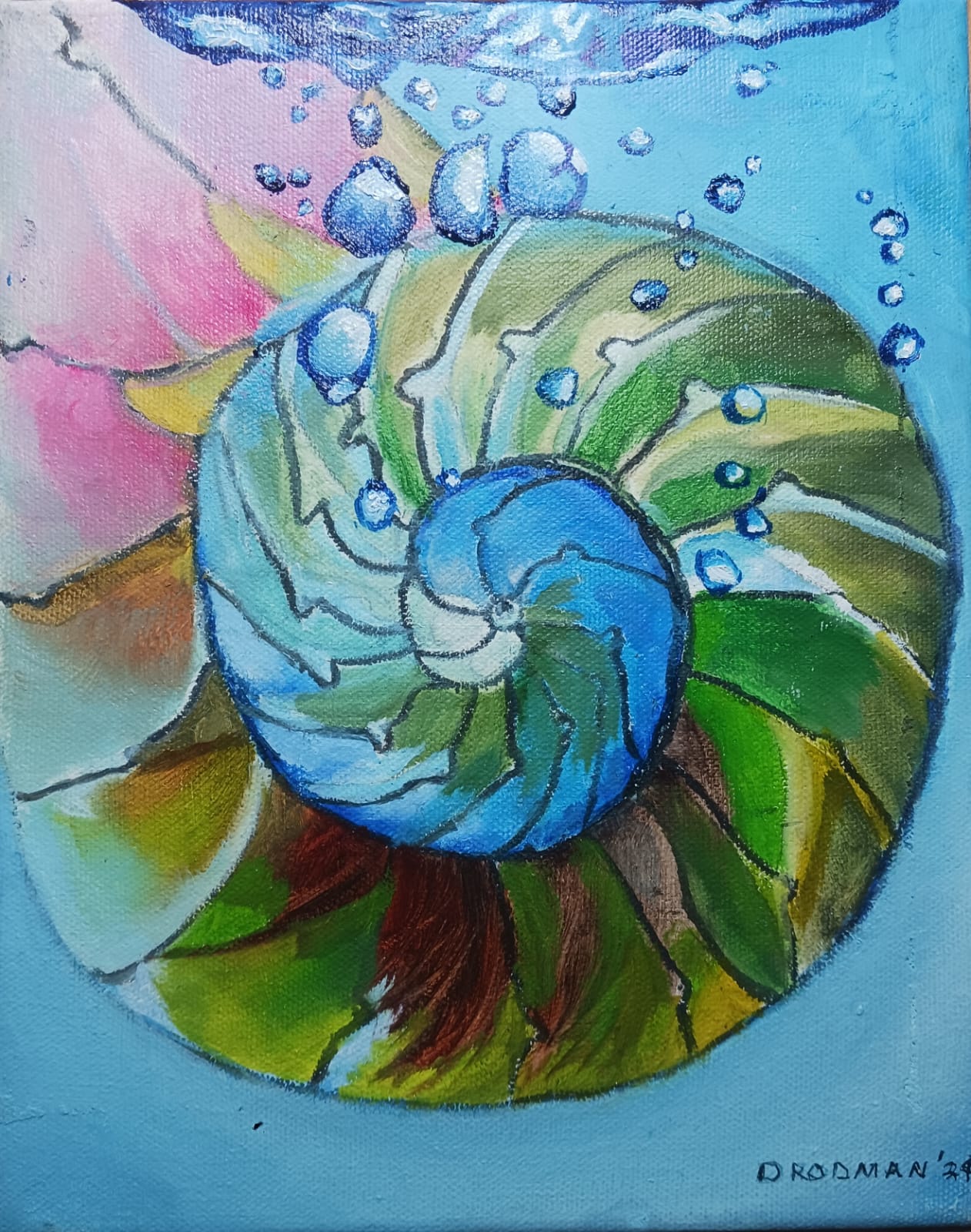Nautilus Donna Rodman Studio
